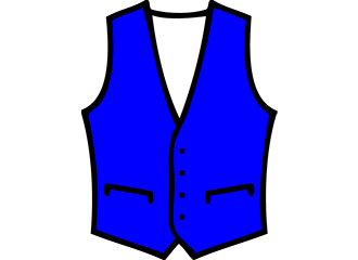 Gilets bleus