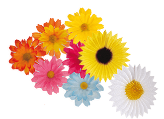 Décoration florale