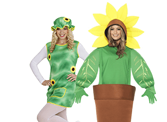 Déguisements de tournesol