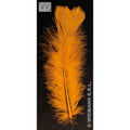 Sachet De 50 Plumes Orange