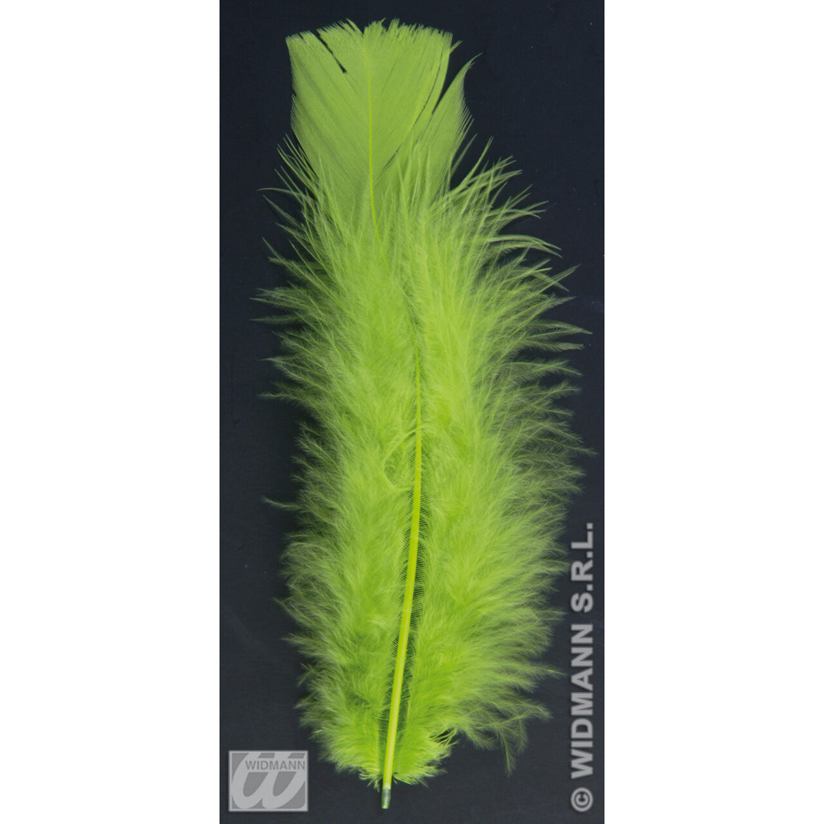 Op deze afbeelding zie je een Decoratie, van het merk Widmann. Zakje Met 50 Veertjes Groen