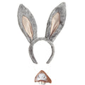 Oreilles Et Nez DÂne