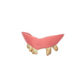 Dentier Jamais Brossé