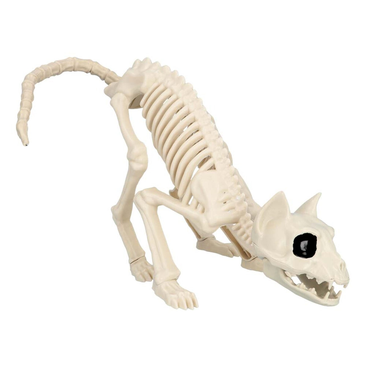 Op deze afbeelding zie je een Decoratie, van het merk Boland. Decoratie Skelet Kat Mimi