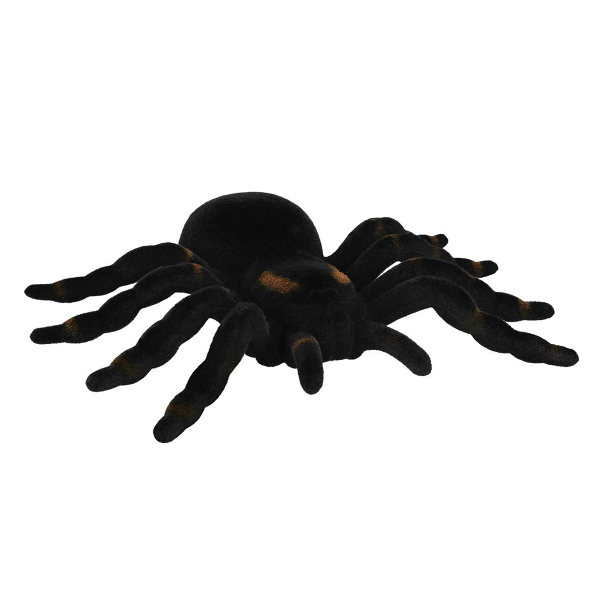 Op deze afbeelding zie je een Decoratie, van het merk Boland. Decoratie Nachtkruiper Tarantula Spin