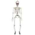 Décoration Suspendue Squelette Monsieur Bones