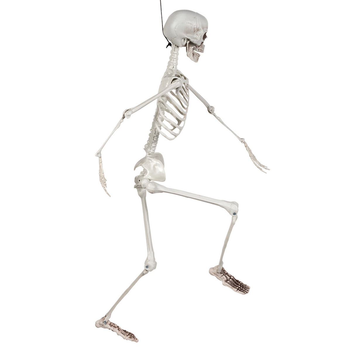 Op deze afbeelding zie je een Decoratie, van het merk Boland. Hangdecoratie Skelet Meneer Bones