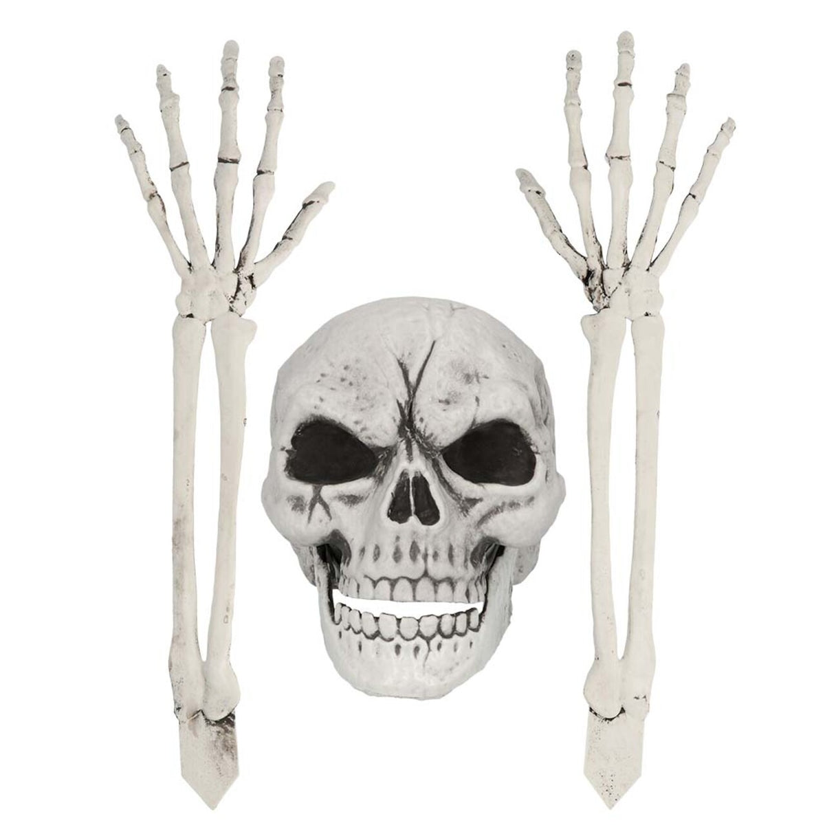 Op deze afbeelding zie je een Decoratie, van het merk Boland. Losse Onderdelen Skelet
