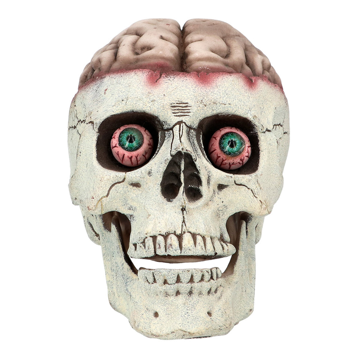 Op deze afbeelding zie je een Decoratie, van het merk Boland. Decoratie Schedel Brain-Dead Met Beweegbare Kaak