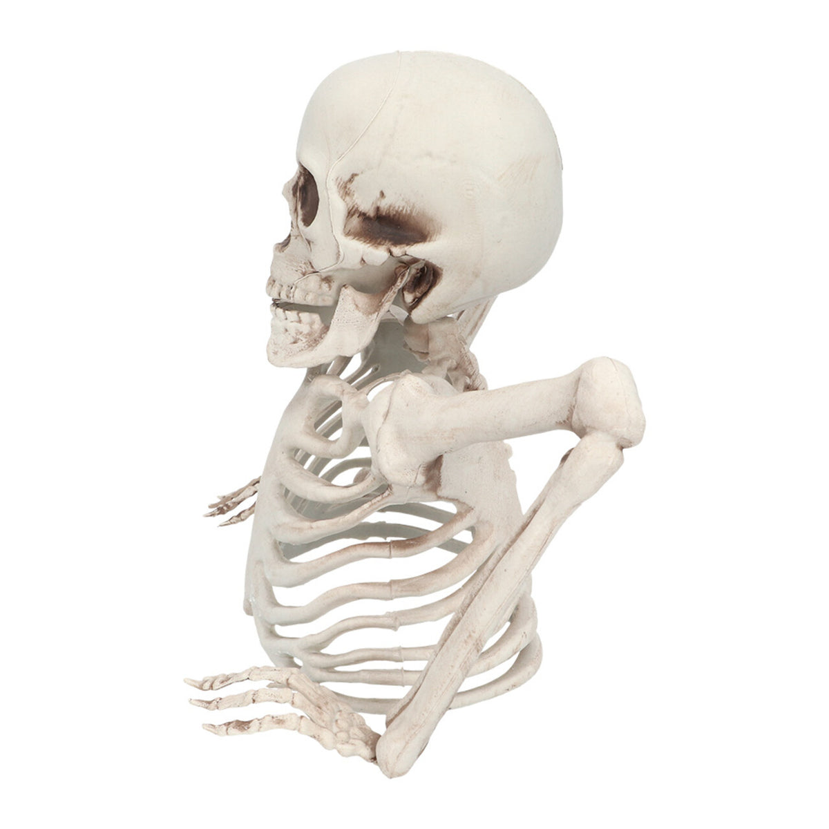 Op deze afbeelding zie je een Decoratie, van het merk Boland. Skelet Groundbreaker 20 Cm