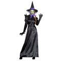 Sorcière Des Corbeaux Noirs Costume