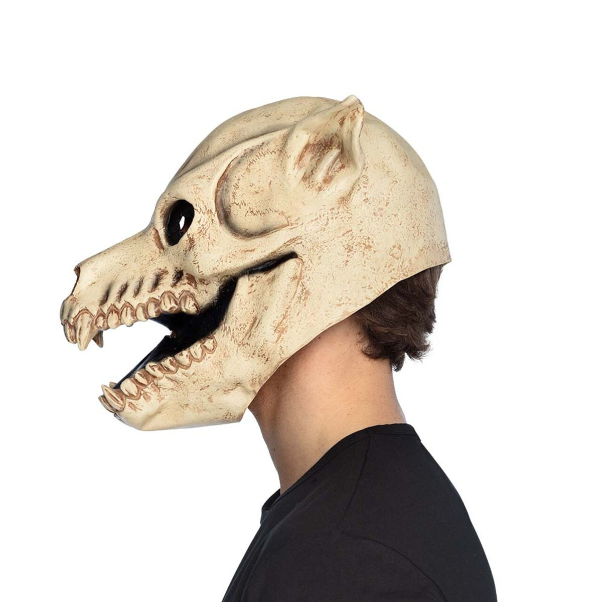 Op deze afbeelding zie je een Accessoires, van het merk Boland. De Vervloekte Hondenschedel