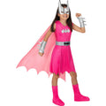 Super-Héroïne Chauve-Souris Rose Costume