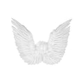 Ailes Plume Dange