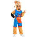 Lola Bunny Space Jam Costume