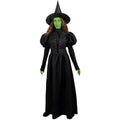 Sorcière Noire Doz Costume