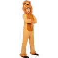 Roi De La Jungle Costume Lion Costume