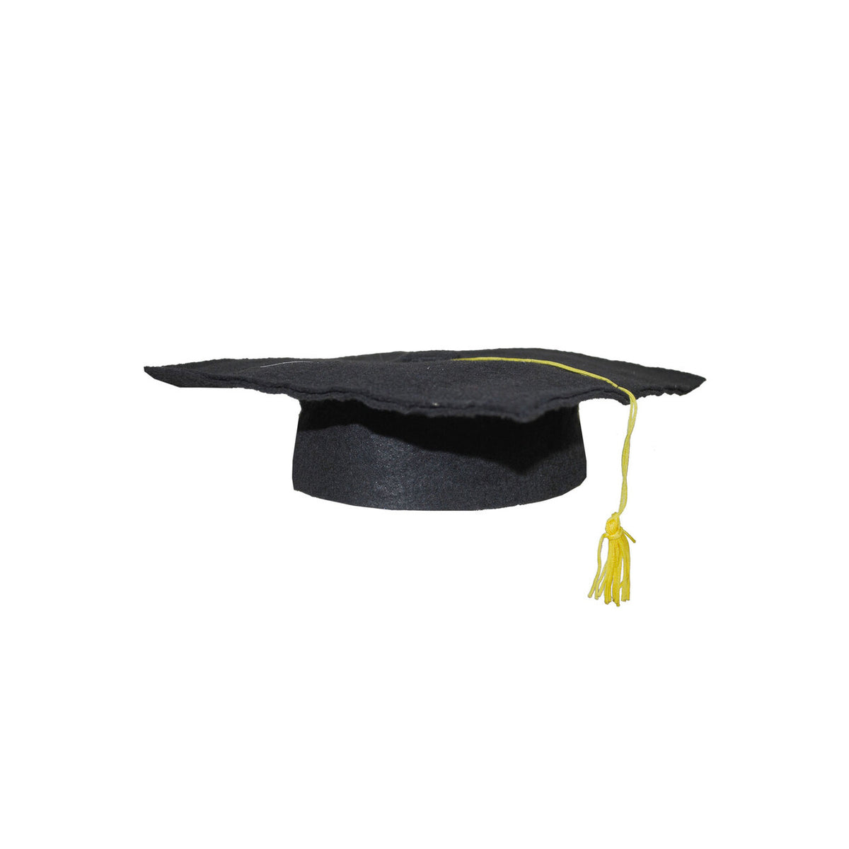 Op deze afbeelding zie je een Accessoires, van het merk Funny Fashion. Academische Examen Hoed Met Kwast