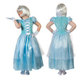 Princesse Des Glaces Costume