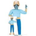 Génie Bleu De La Lampe Costume
