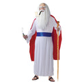 Druide Sage Et Ancien Costume
