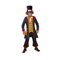 Chapelier Fou Extravagant Costume