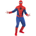 Classique Peter Homme-Araignée Costume
