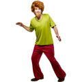 Scooby-Doo™ Shaggy De Luxe Costume Homme