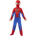 Héros Classique Araignée Costume