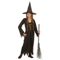 Chaudron De La Sorcière Hilaria Costume