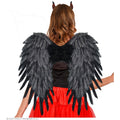 Ailes Dange Noir En Plumes Noires