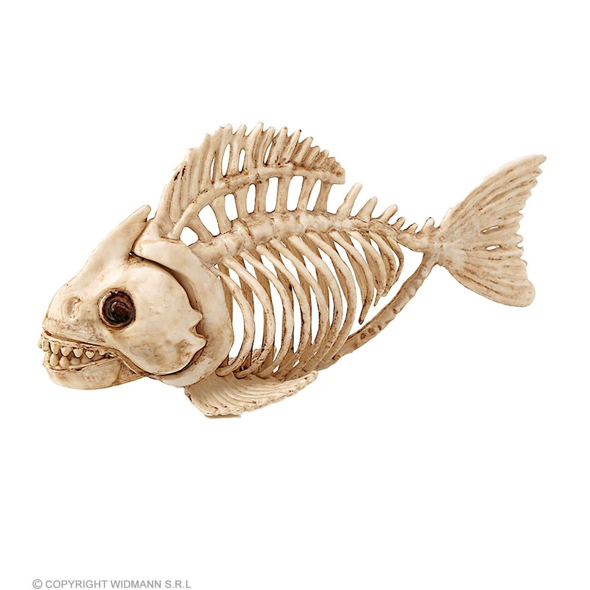 Op deze afbeelding zie je een Decoratie, van het merk Widmann. Decoratie Skelet Piranha Vis