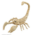 Décoration Scorpion Squelette