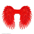 Ailes En Plumes Rouges Voler Vers Lamour