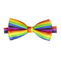 Noeud Papillon Arc-En-Ciel