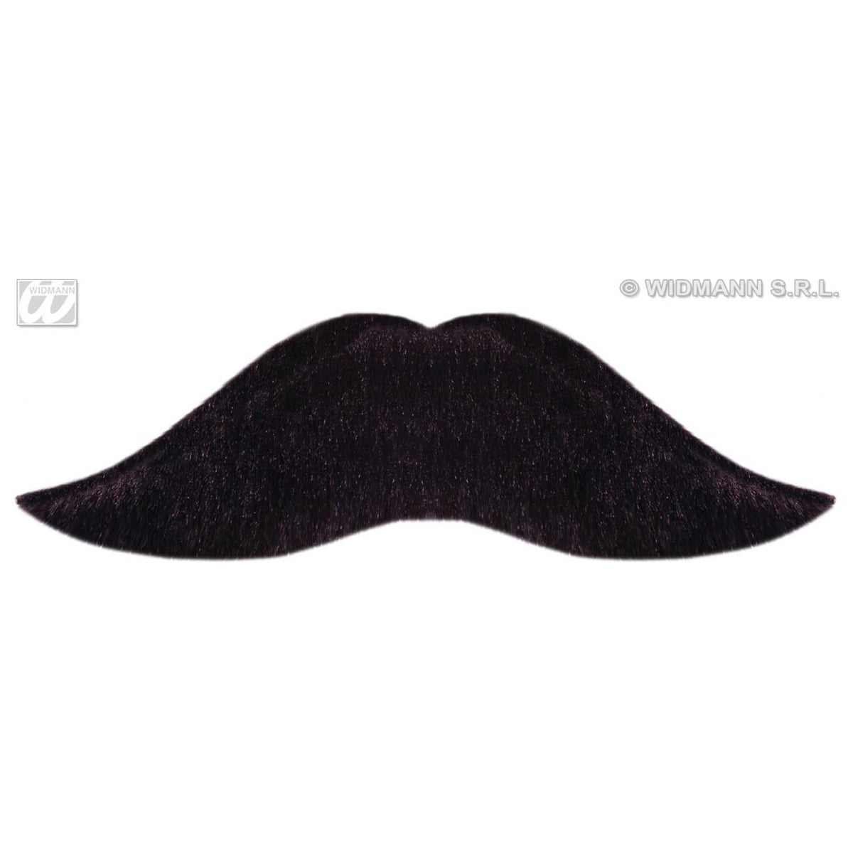 Op deze afbeelding zie je een Accessoires, van het merk Widmann. Snor Zwart, Groot