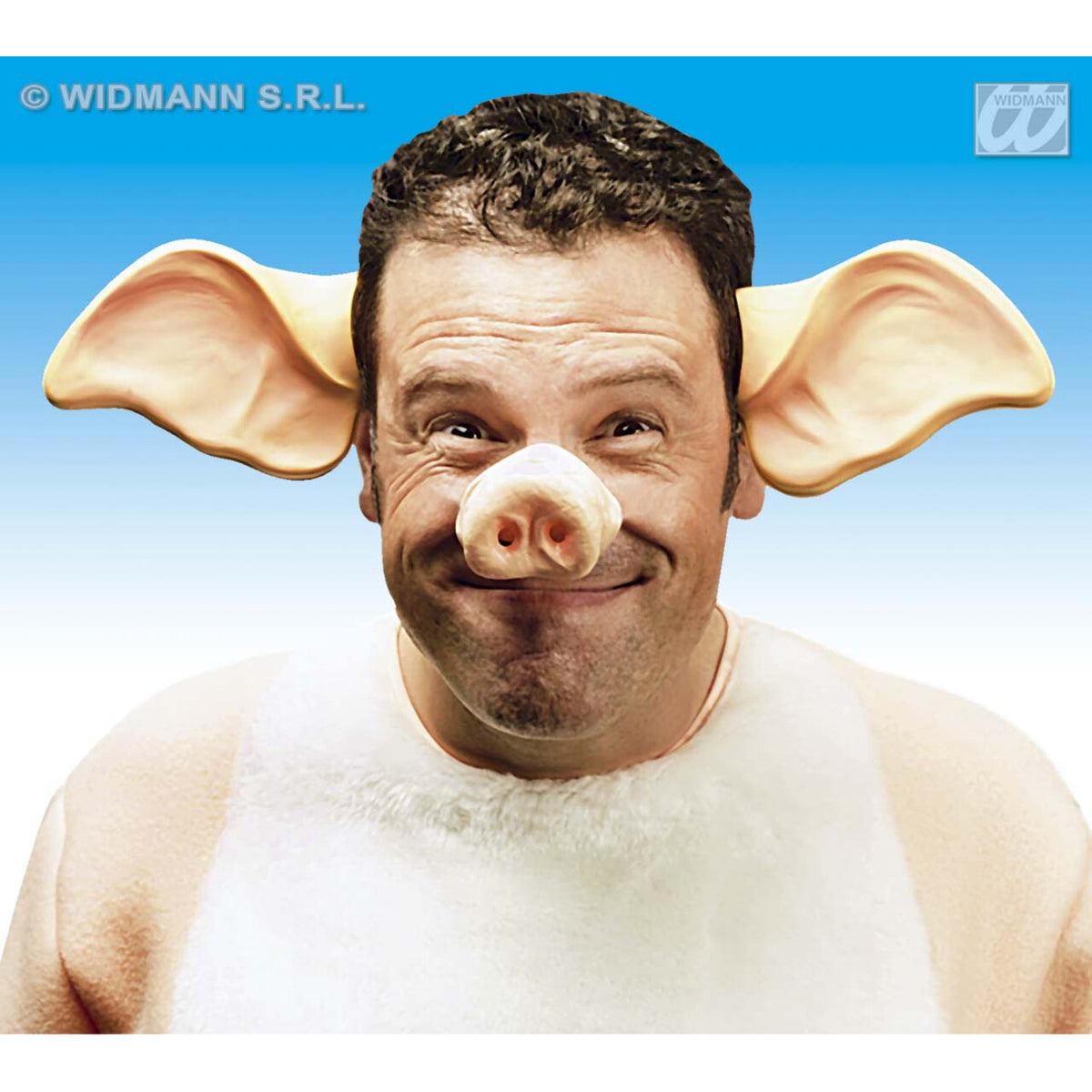 Op deze afbeelding zie je een Accessoires, van het merk Widmann. Pvc Oren, Varken