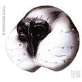 Nez, Hibou