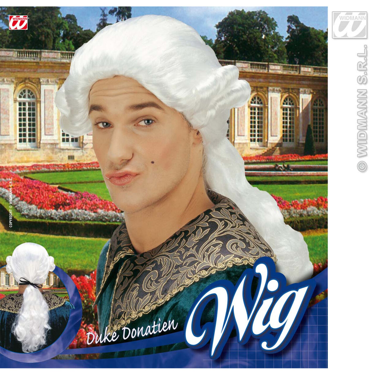 Op deze afbeelding zie je een Accessoires, van het merk Widmann. Pruik, Graaf Nelson Wit