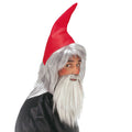 Chapeau De Nain Avec Barbe