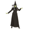 Sorcière Historique Longue Costume