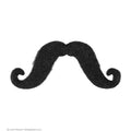 Moustache Guidon Poirot