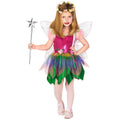 Fée Arc-En-Ciel Wendy Souhait Costume